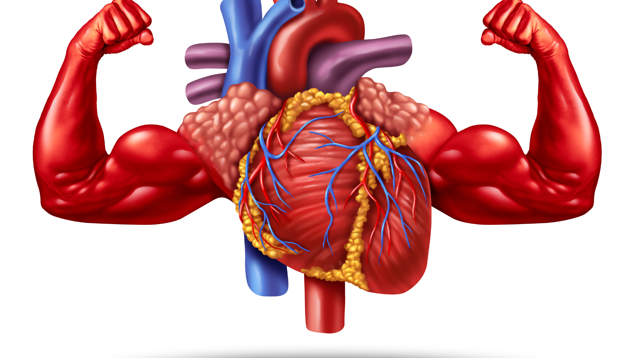 can-you-exercise-after-heart-valve-replacement